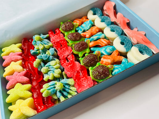 Themed Candy Box-Under the Sea🐢🐠🦞🦀🪼